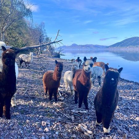 Balachladaich Loch Ness B&B Dores Luaran gambar